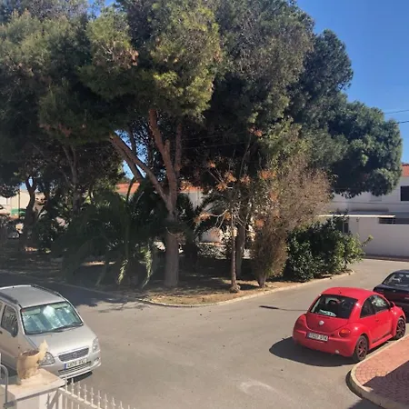 Apartment Modern In With Spacious Terrace And 250m From The